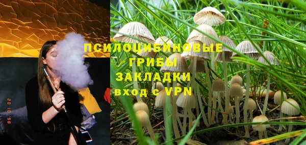 ПСИЛОЦИБИНОВЫЕ ГРИБЫ Абинск
