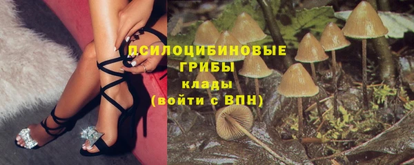 ПСИЛОЦИБИНОВЫЕ ГРИБЫ Абинск