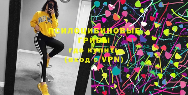 ПСИЛОЦИБИНОВЫЕ ГРИБЫ Абинск