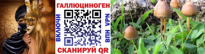 где найти   Красновишерск  Галлюциногенные грибы мухоморы 