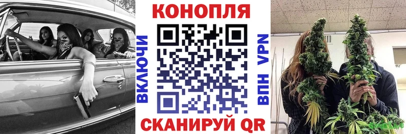 мориарти состав  Красновишерск  Бошки Шишки планчик 